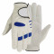 Golf Gloves